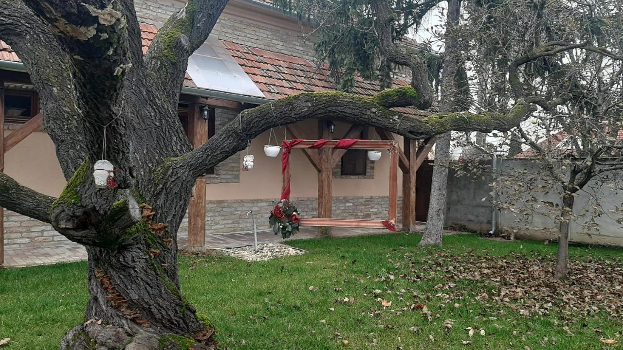 Villa Rusztika ギュラ エクステリア 写真